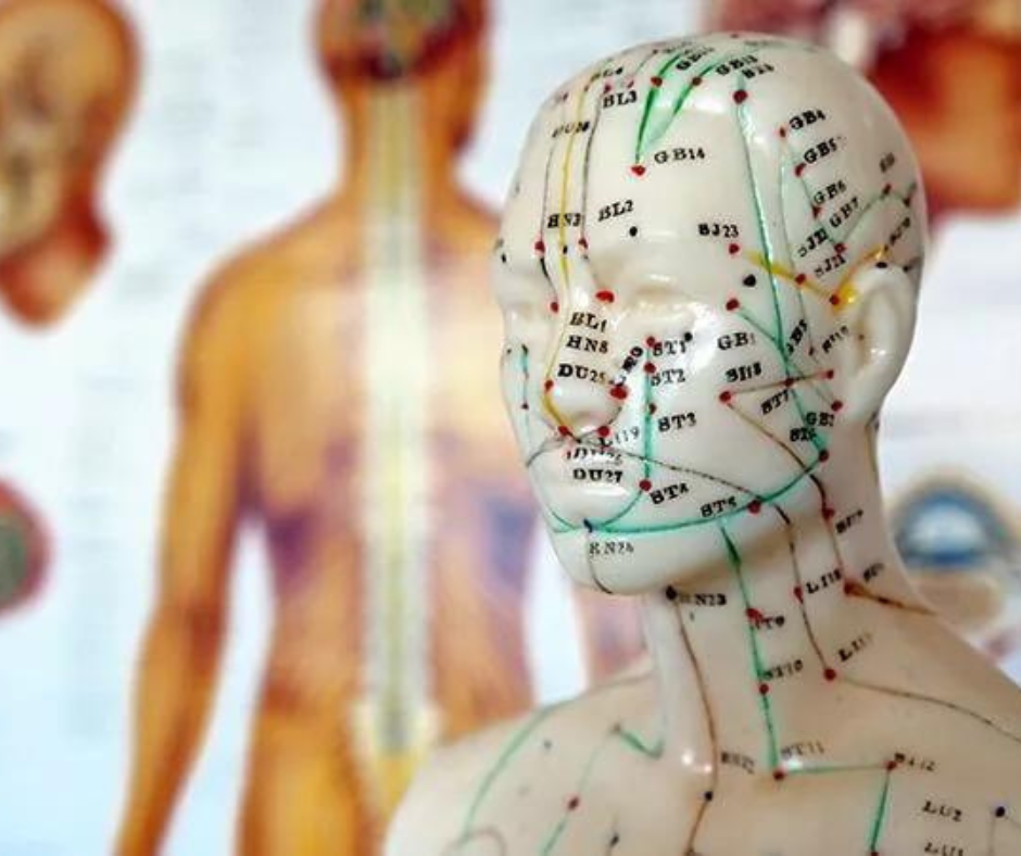 5 Elements Full Assessment